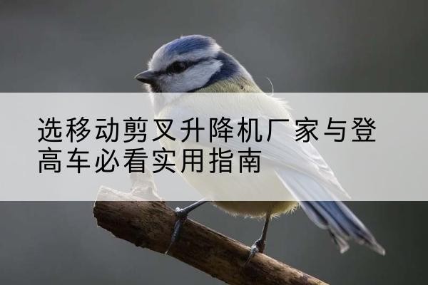 苍溪电动升降机厂家-选移动剪叉升降机厂家与登高车必看实用指南