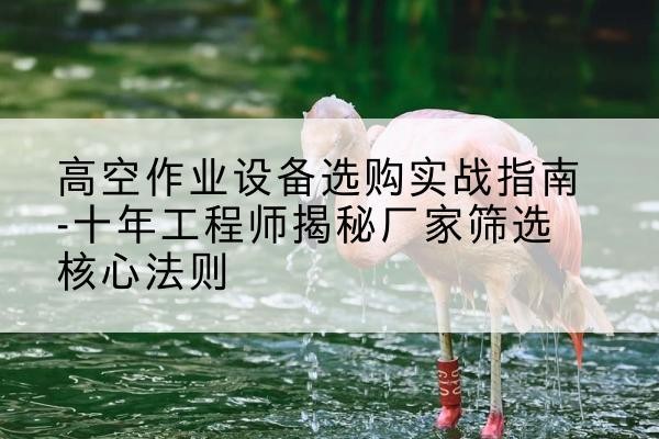 苍溪剪叉式升降机厂家-高空作业设备选购实战指南-十年工程师揭秘厂家筛选核心法则