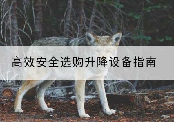 苍溪升降货梯厂家推荐-*安全选购升降设备指南