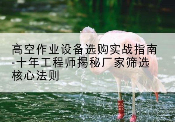 苍溪剪叉式升降机厂家-高空作业设备选购实战指南-十年工程师揭秘厂家筛选核心法则