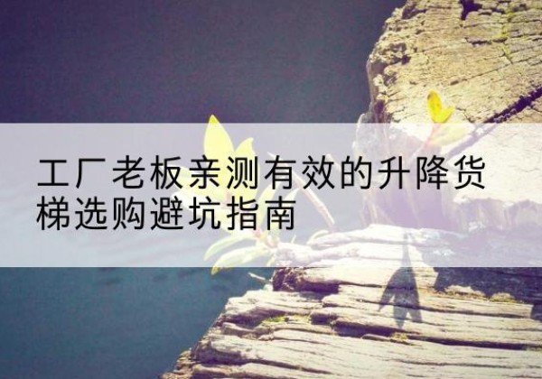 苍溪升降货梯怎么选-工厂老板亲测有效的升降货梯选购避坑指南